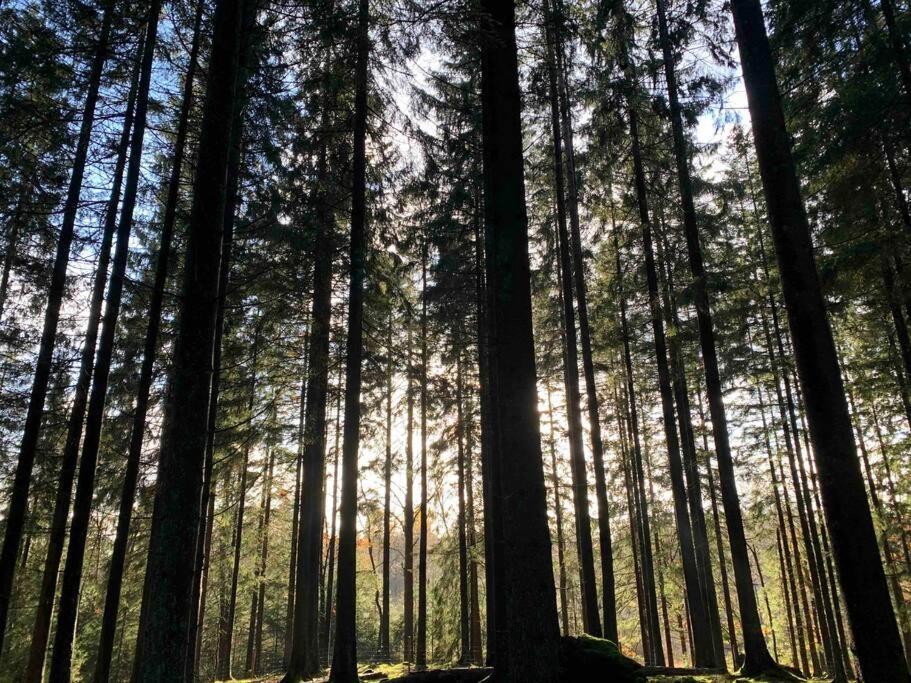 Panoramavy Naera Gbg Och Natur Olofstorp Εξωτερικό φωτογραφία